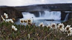 Goðafoss...