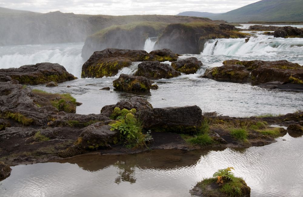 Goðafoss - Götterwasserfall II