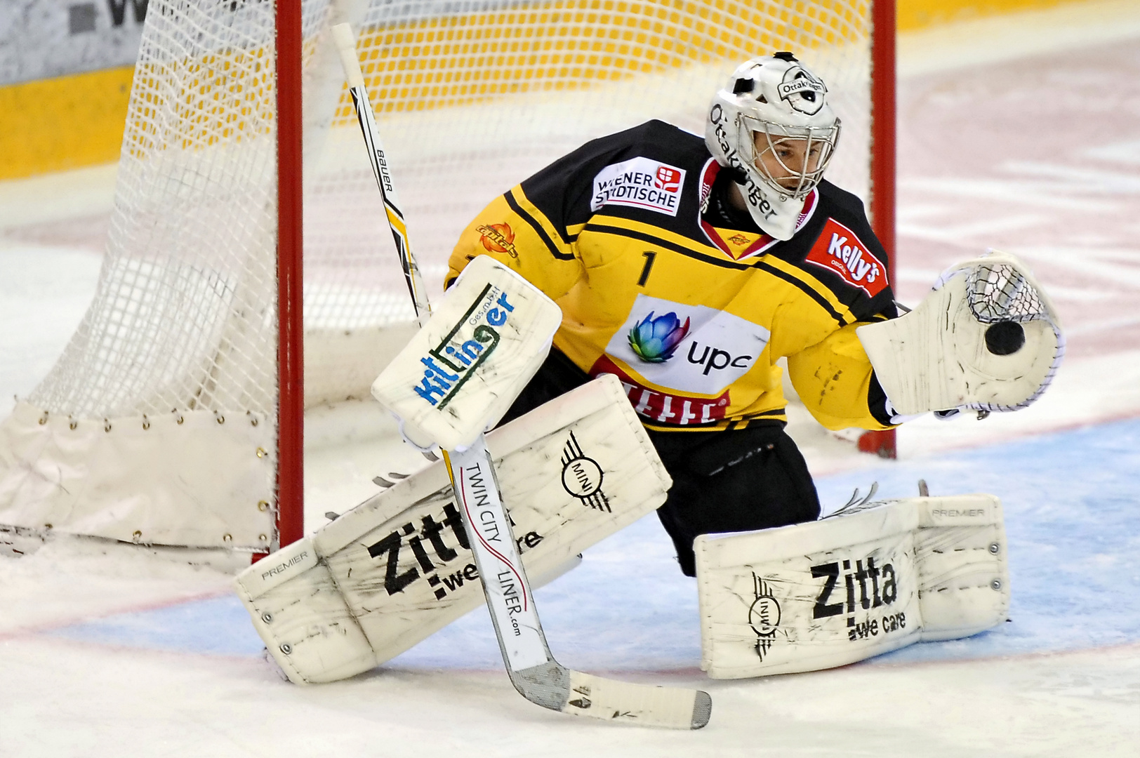 Goali Vienna Capitals