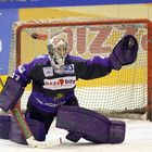 Goalie-Portrait