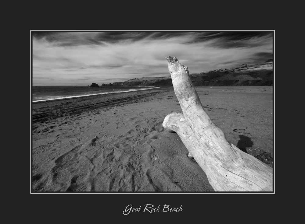 Goat Rock Beach