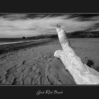 Goat Rock Beach