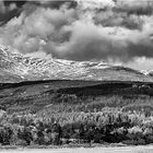 Goatfell Pano