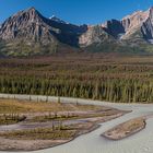 Goats and Glaciers