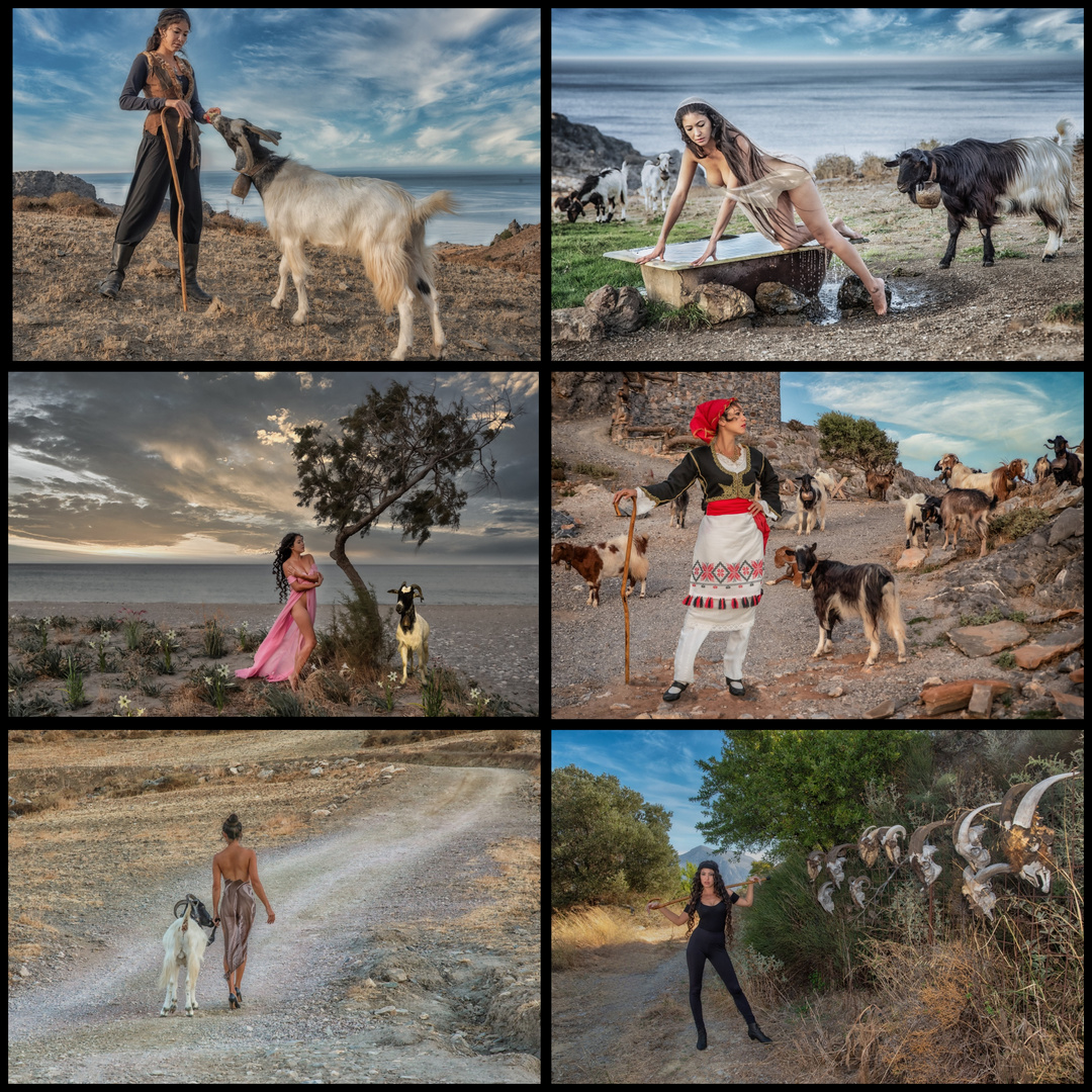 Goats and Sheep on Crete Calendar (July-December)