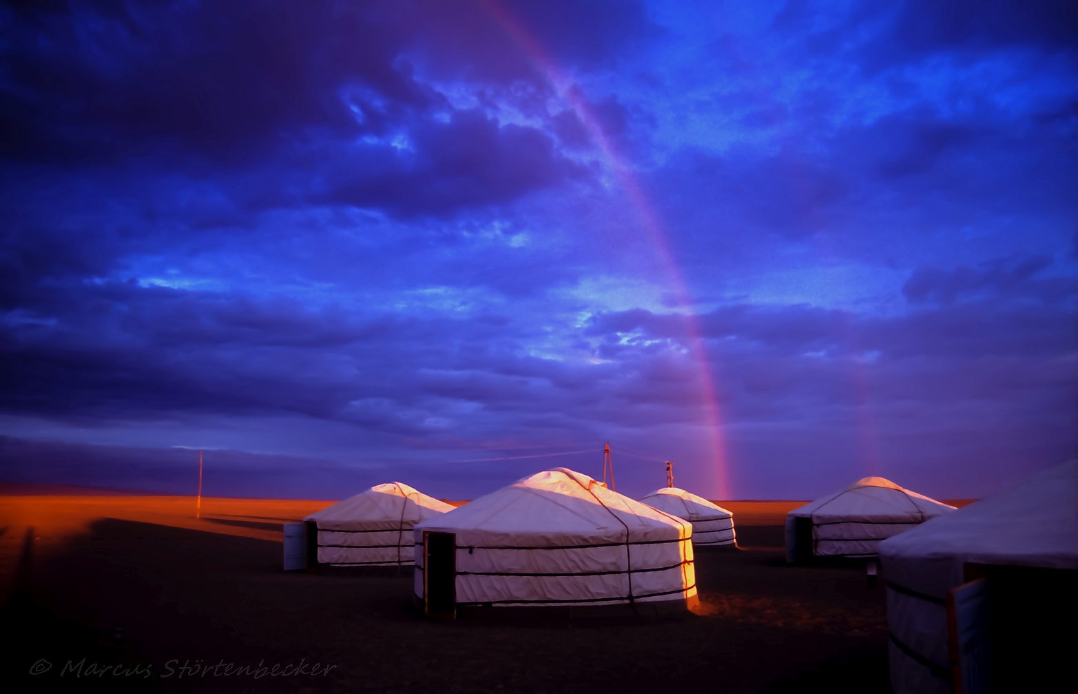 gobi evenings