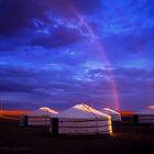 gobi evenings