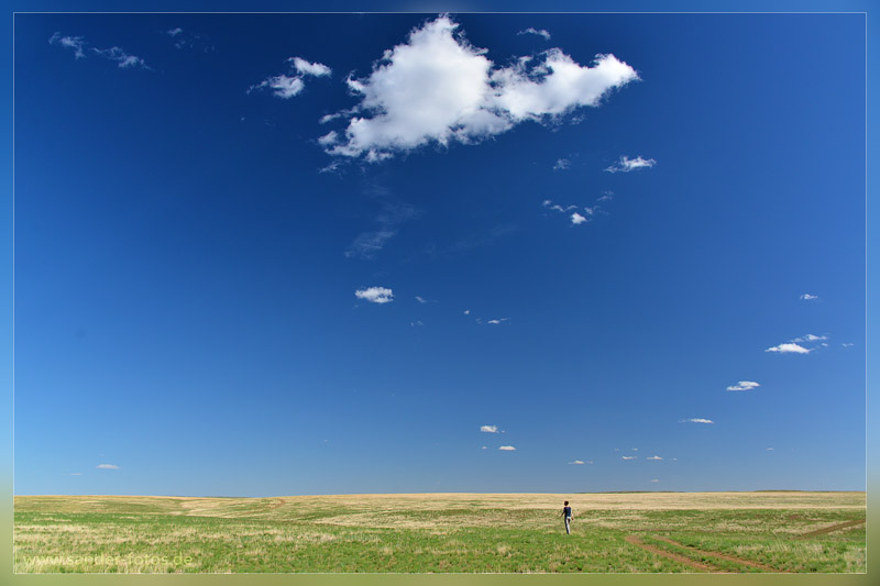 Gobi. Mongolei