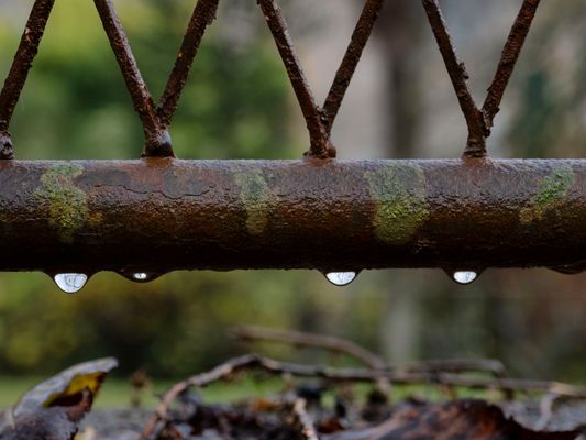 Gocce dopo la pioggia