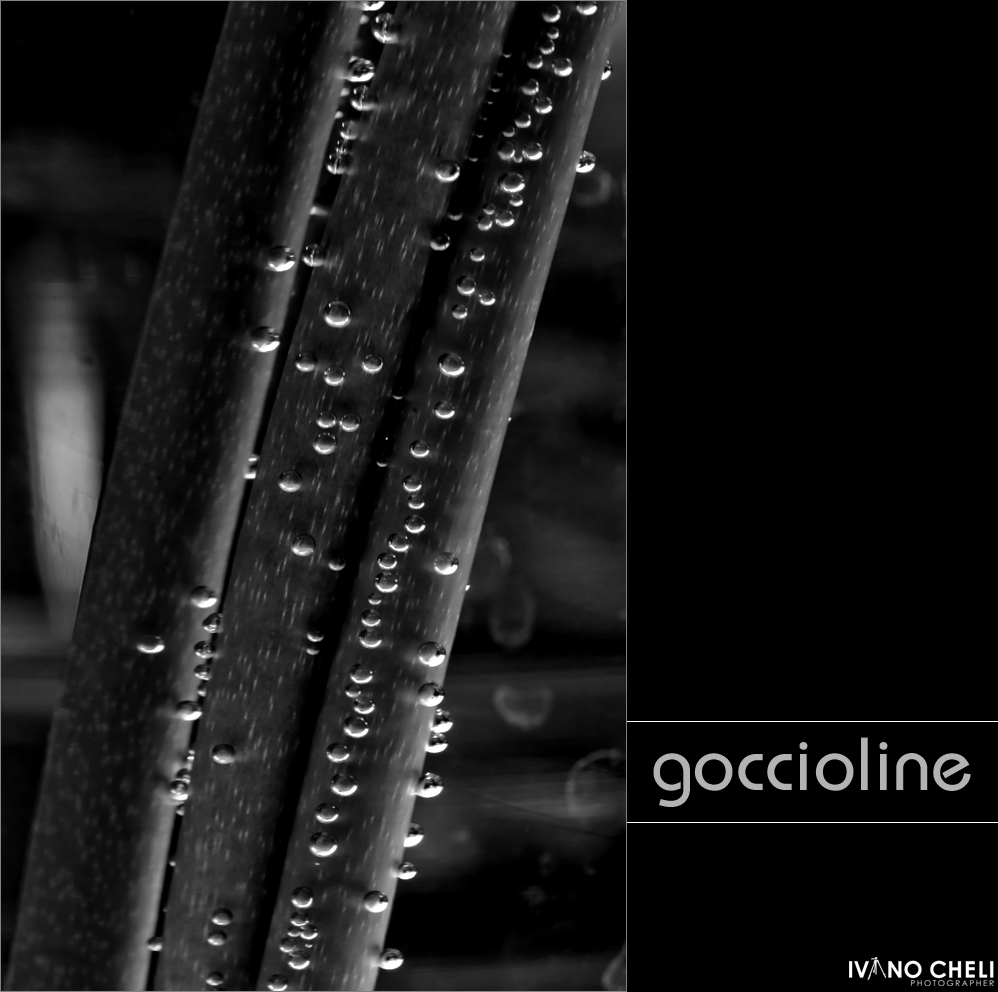 goccioline
