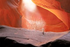 God Is Speaking (reloaded)