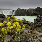 Godafoss