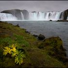 godafoss 2