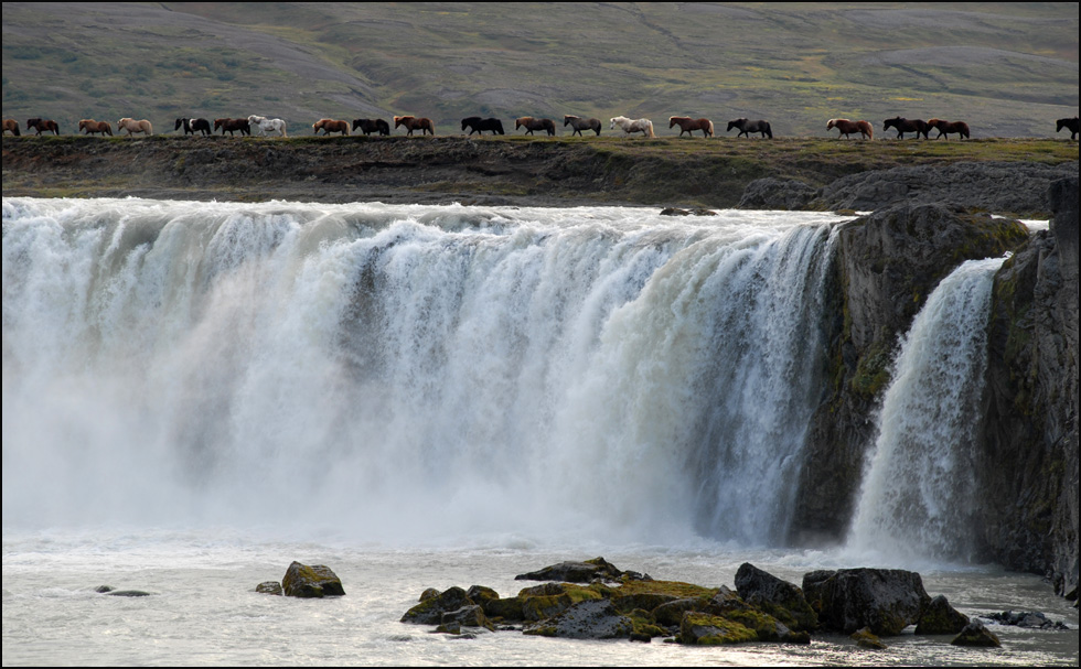 godafoss mit islandpferden