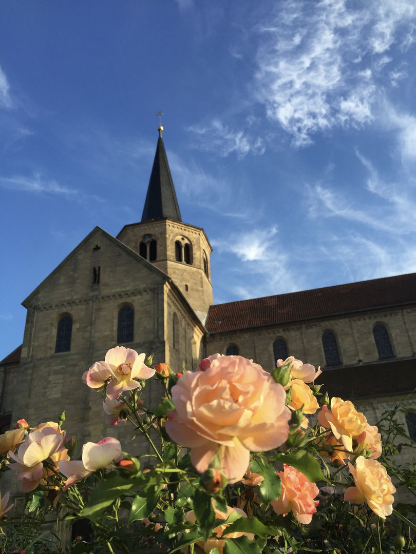 Godehardikirche im Schatten der Rosen 