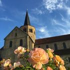 Godehardikirche im Schatten der Rosen 