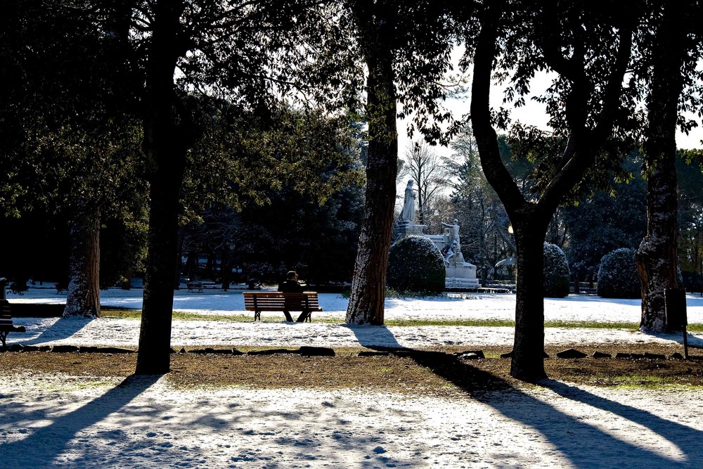 godersi la prima neve