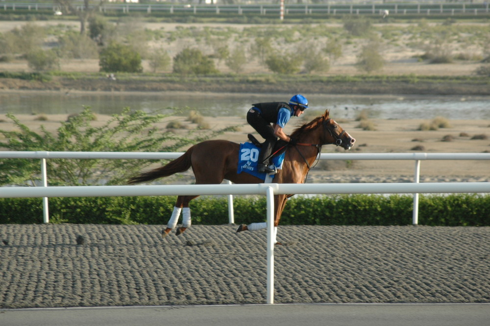 Godolphin Morgenarbeit