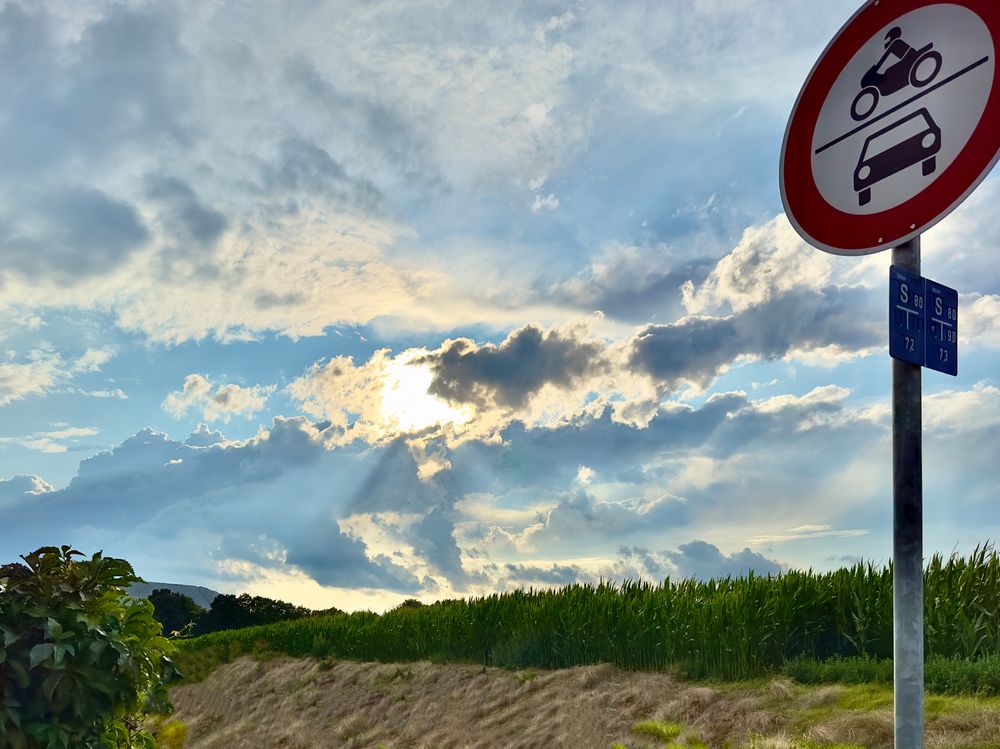 Godrays über der Feldmark