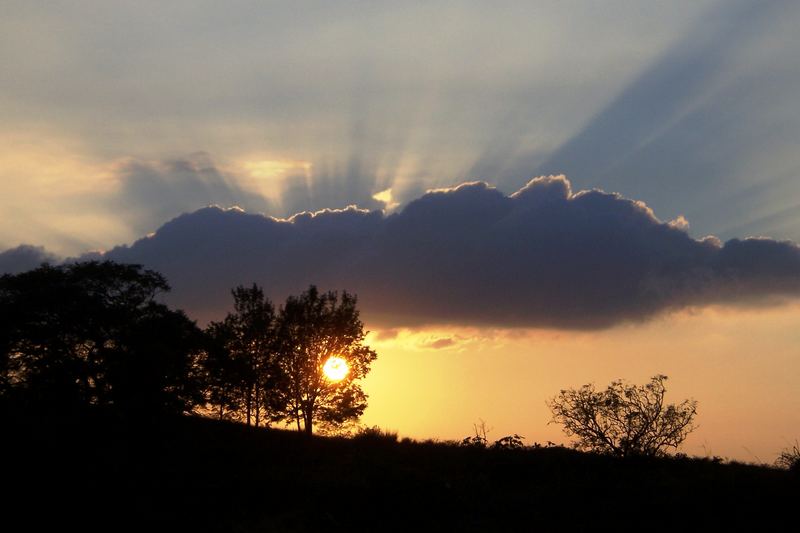 God's Halo