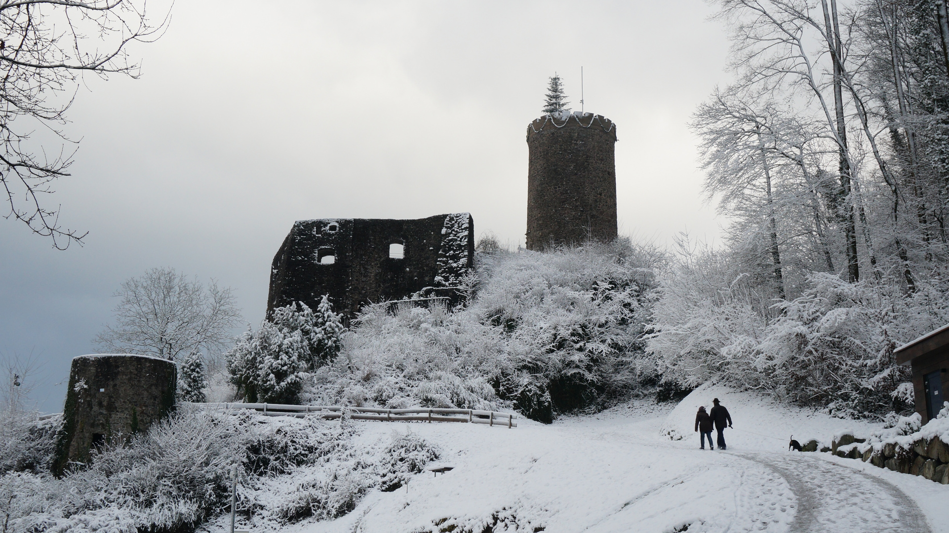 GOE HAUSACH BURG 03090