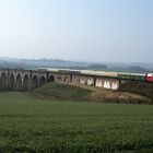 Göhrener Viadukt mit DR V180