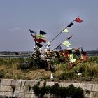 goélands et leurs drapeaux