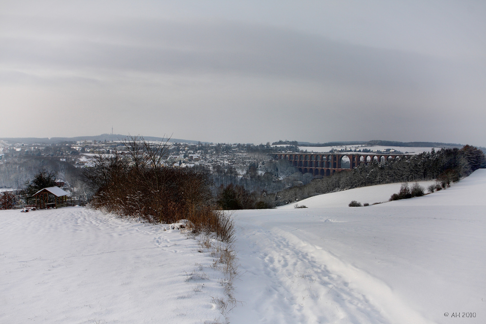 Göltzschtalbrücke 02-2010