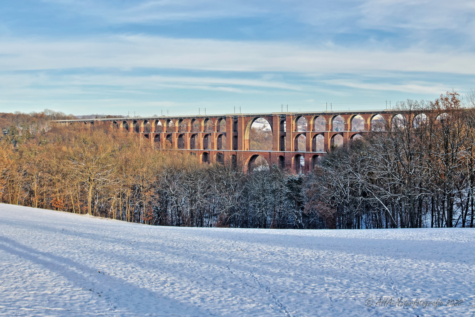 Göltzschtalbrücke im Schnee