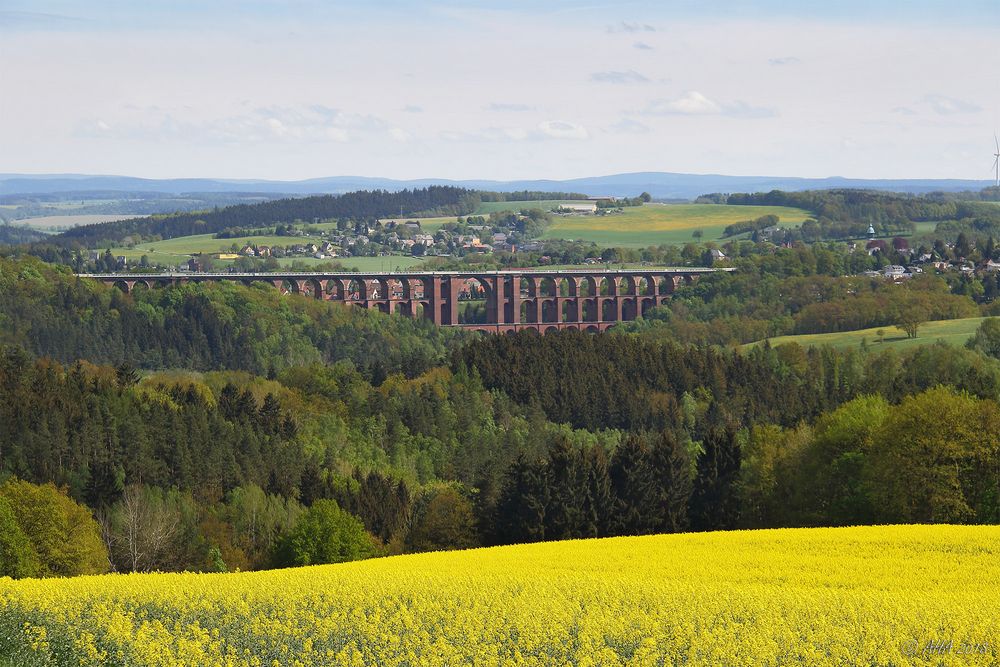 Göltzschtalbrücke mit Raps