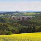 Göltzschtalbrücke mit Raps