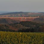 Göltzschtalbrücke mit Rapsblüte und Abendsonne