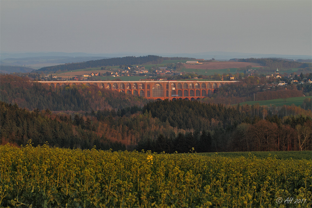 Göltzschtalbrücke mit Rapsblüte und Abendsonne