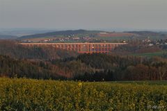 Göltzschtalbrücke mit Rapsblüte und Abendsonne