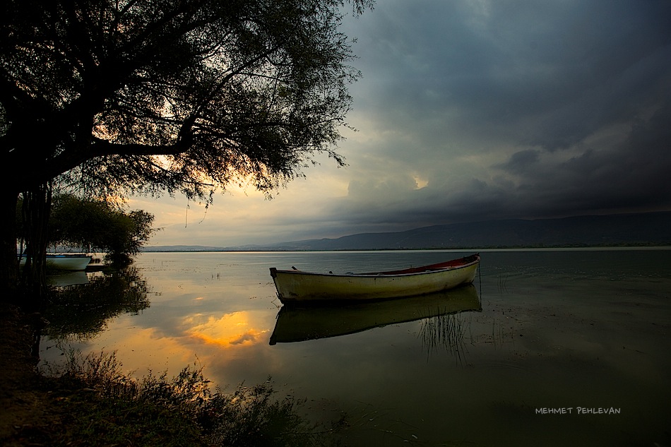 Gölyaz&#305;