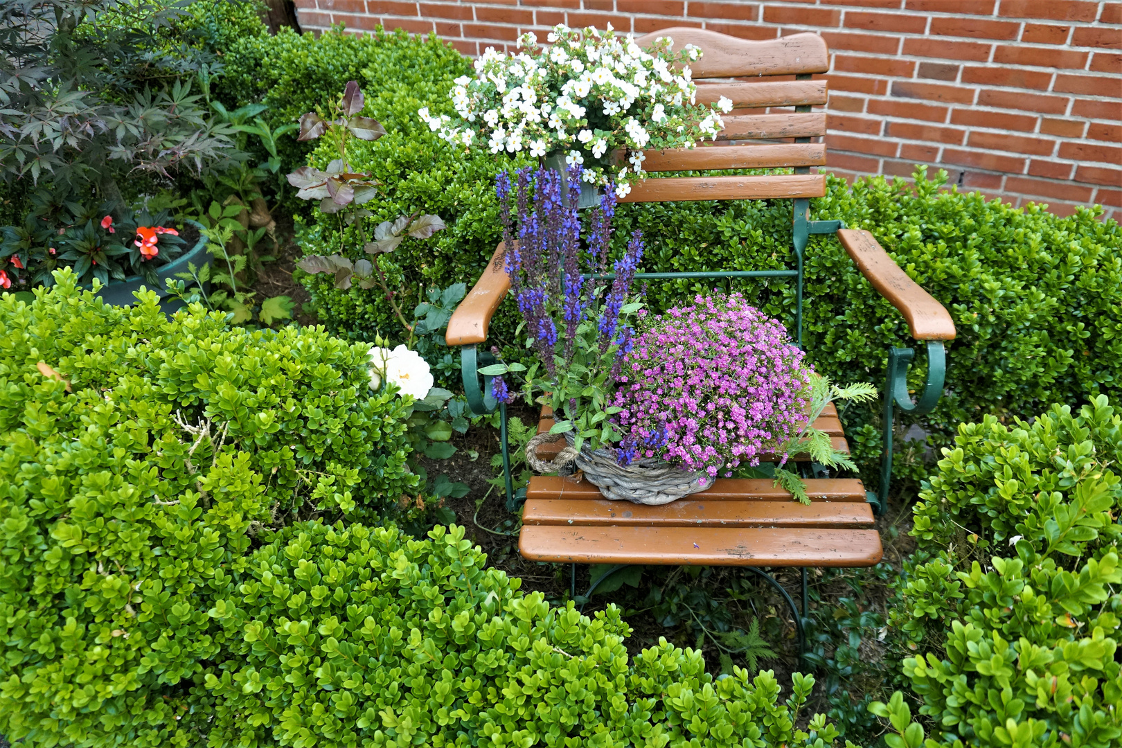 Gönne deinen Blumen einen guten Platz