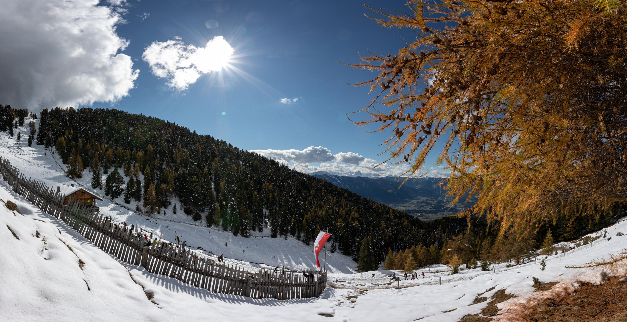 Gönner Alm