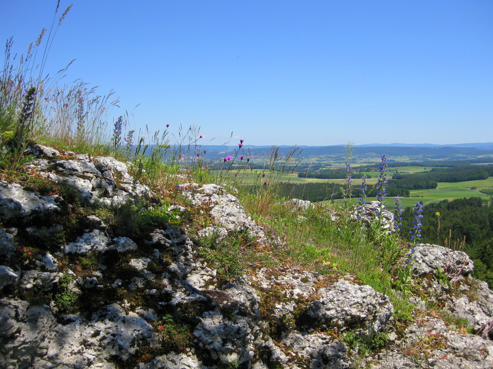 Görauer Anger bei Kulmbach/Ofr.