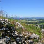 Görauer Anger bei Kulmbach/Ofr.