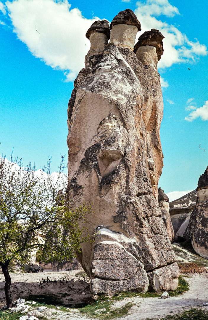 Göreme.        .DSC_3795