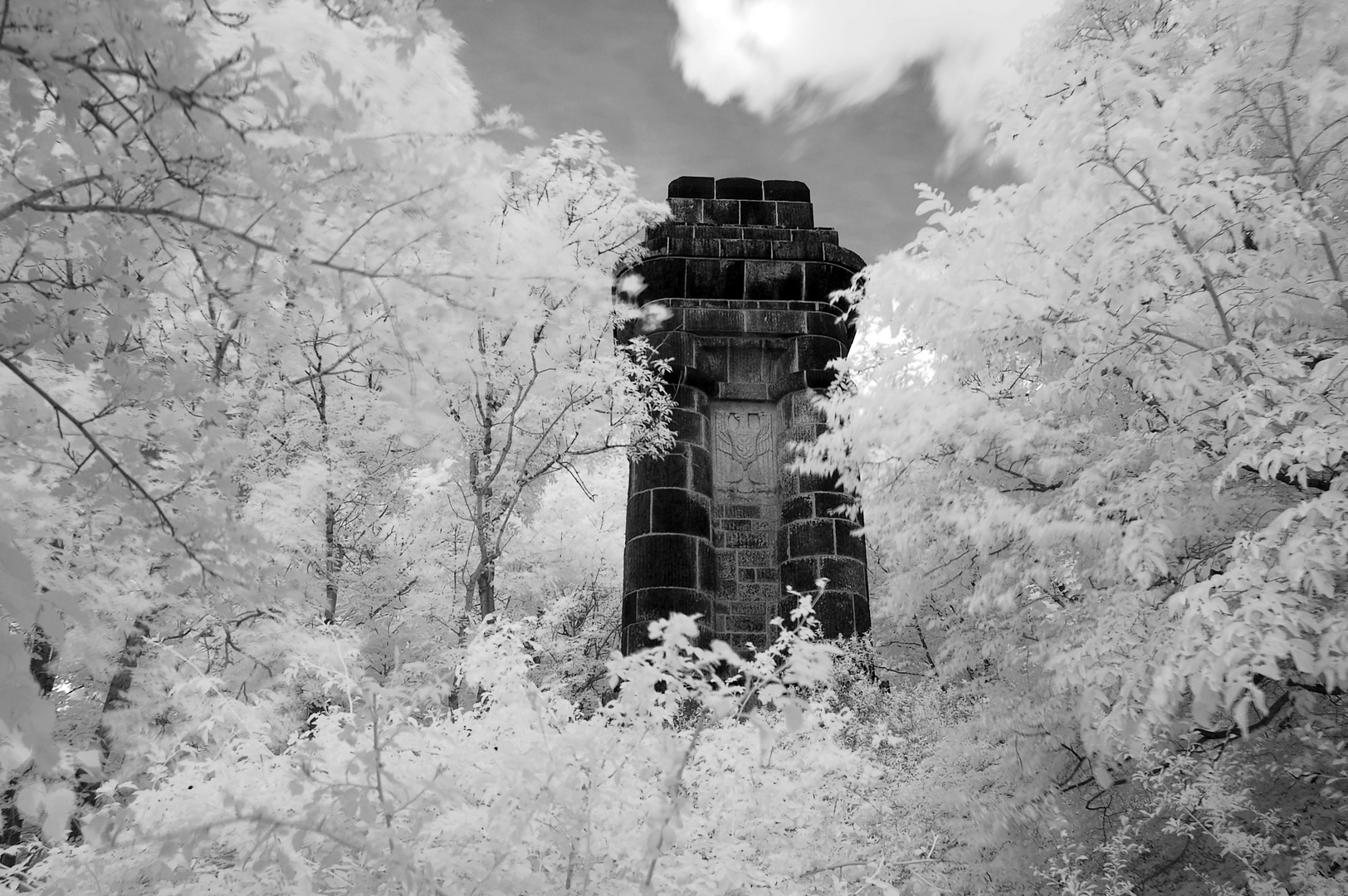 Görlitz - Bismarckturm auf der Landeskrone