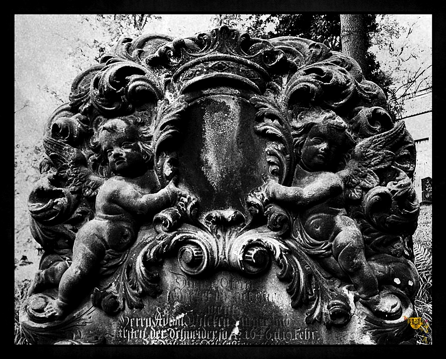 Görlitz - Nikolaifriedhof Steinerne Ewigkeit X