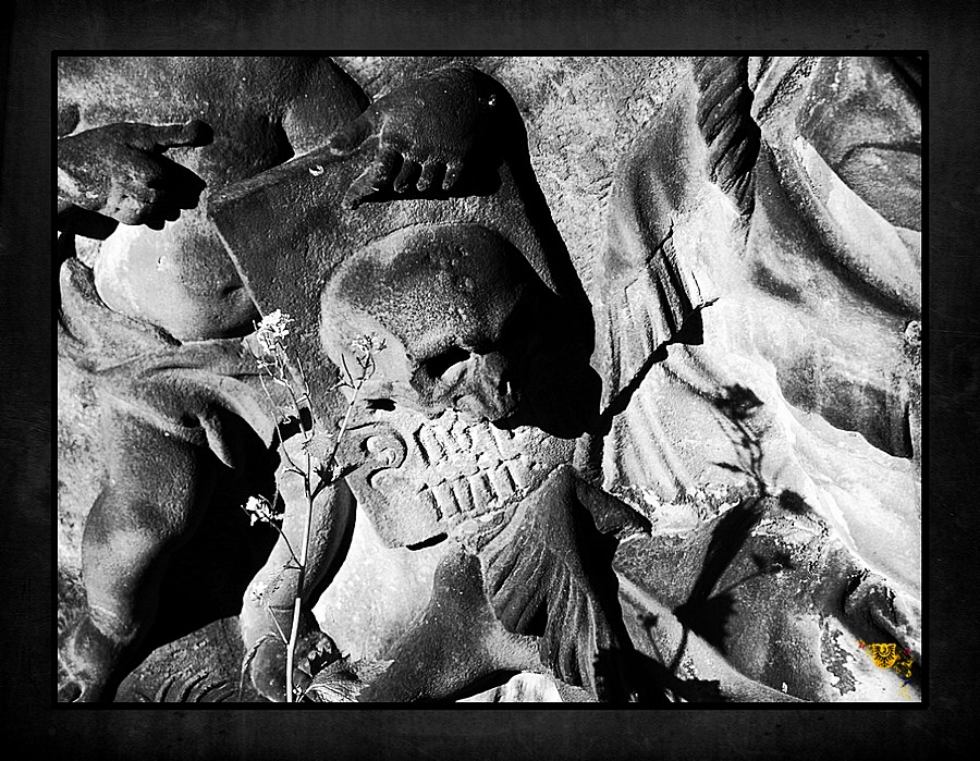 Görlitz - Nikolaifriedhof Steinerne Ewigkeit XV