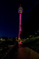 Görres-Gymnasium strahlt am Turm