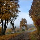  Göschweiler im Nebel