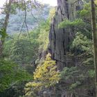 Goethe-Felsen im Bodetal Thale