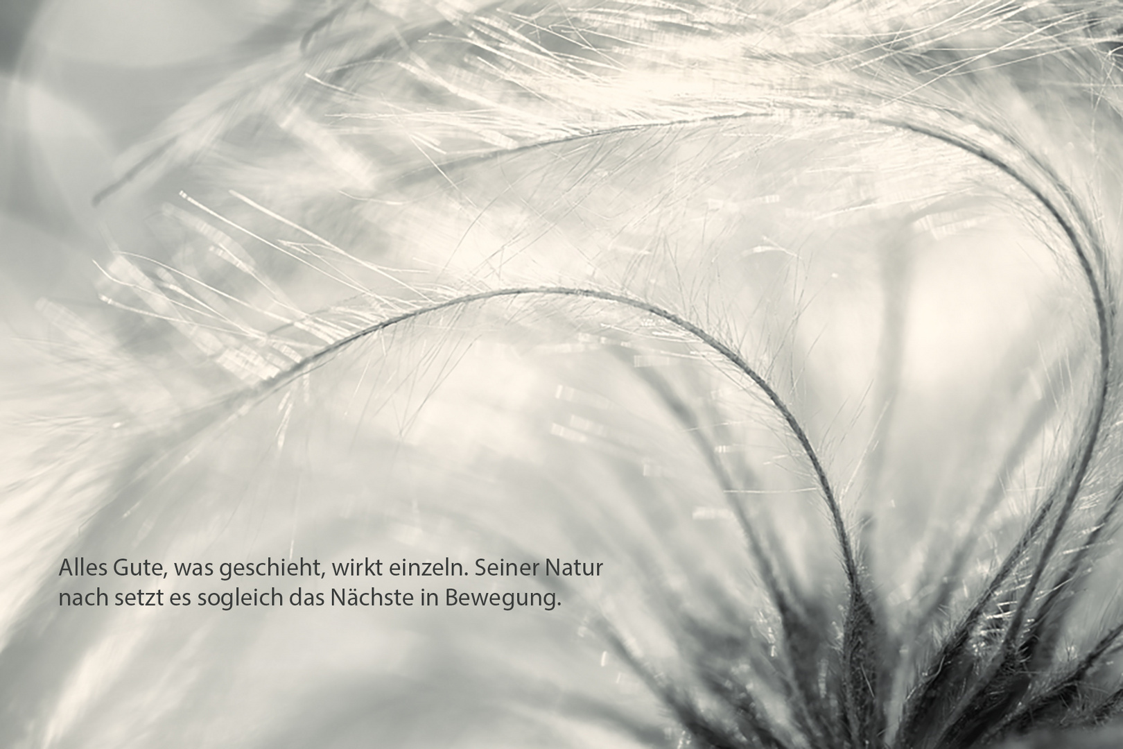 Goethe in Wort und Bild 84