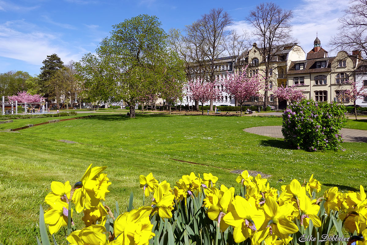 Goetheanlagen Neuwied im Frühling 2024