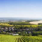 Goethestein Panorama