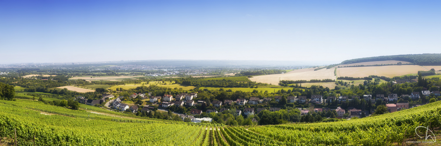 Goethestein Panorama